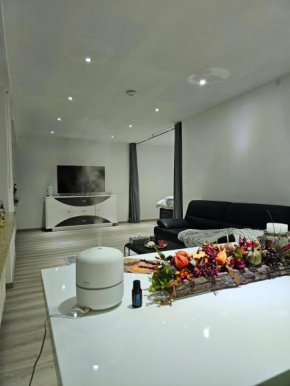 Ferienwohnung im Herzen von Singen
